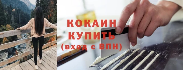 индика Абинск