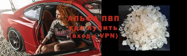 индика Абинск