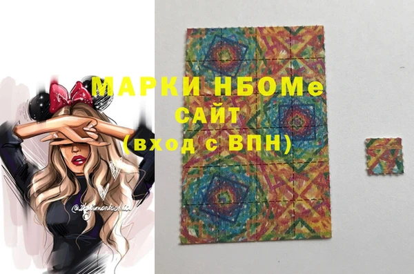 индика Абинск