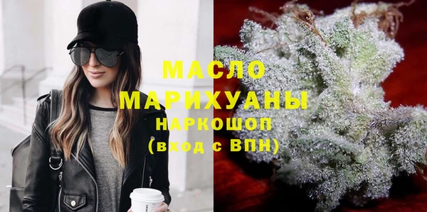 индика Абинск