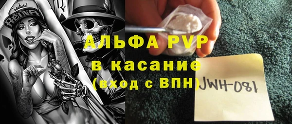 индика Абинск