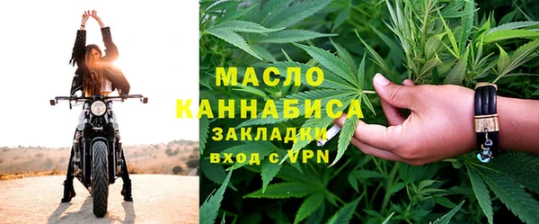 индика Абинск