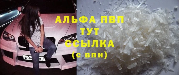 индика Абинск