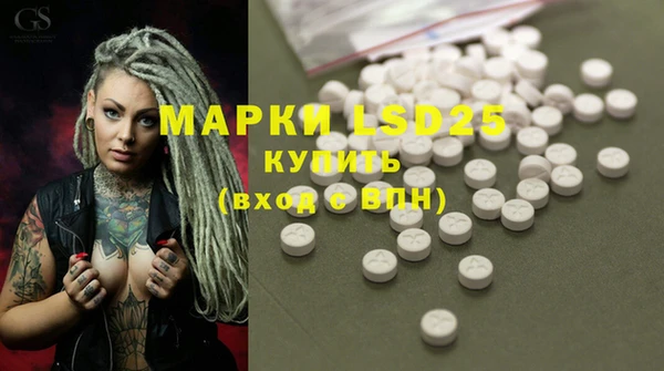 индика Абинск